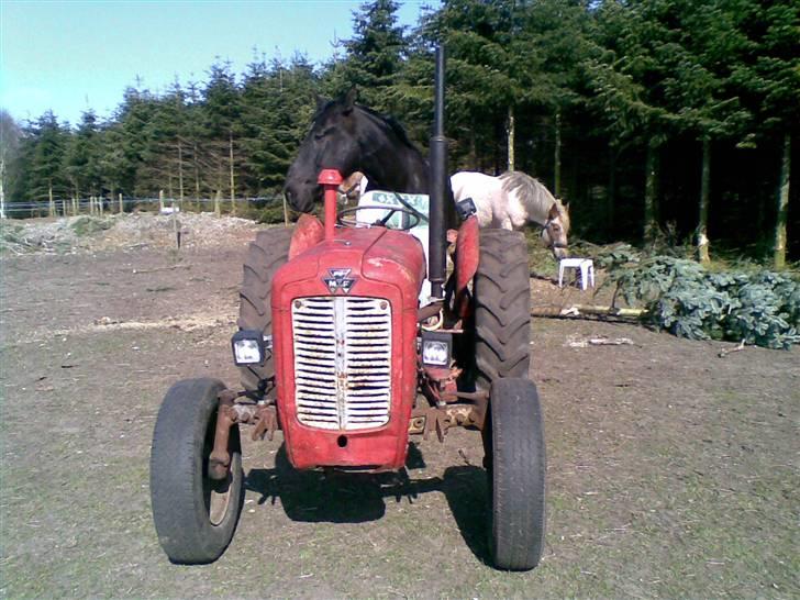 Oldenborg MAX  SOLGT - skal vi ud at køre billede 15