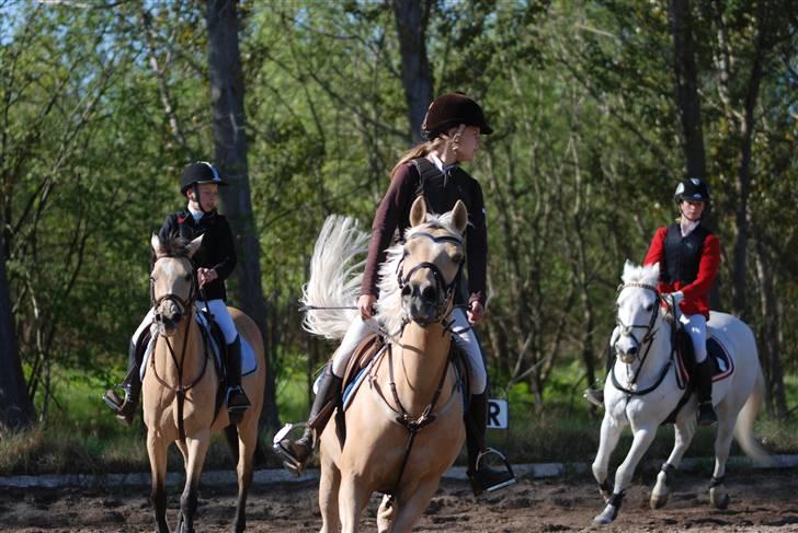 Palomino Imke *Rider* *solgt* - Tøsen og jeg varmer op ;D<3 billede 2