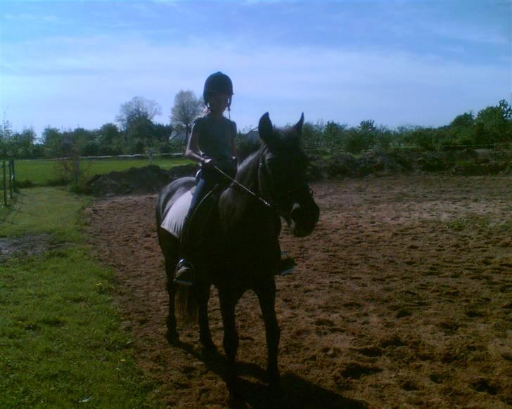 Anden særlig race Stella R.I.P. :-( - Stella og mig ;) xD - jeg var lille.. billede 9