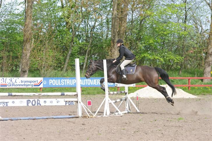 Oldenborg *tequila sunrice* -  stævne 2 maj. FOTO: aca billede 4
