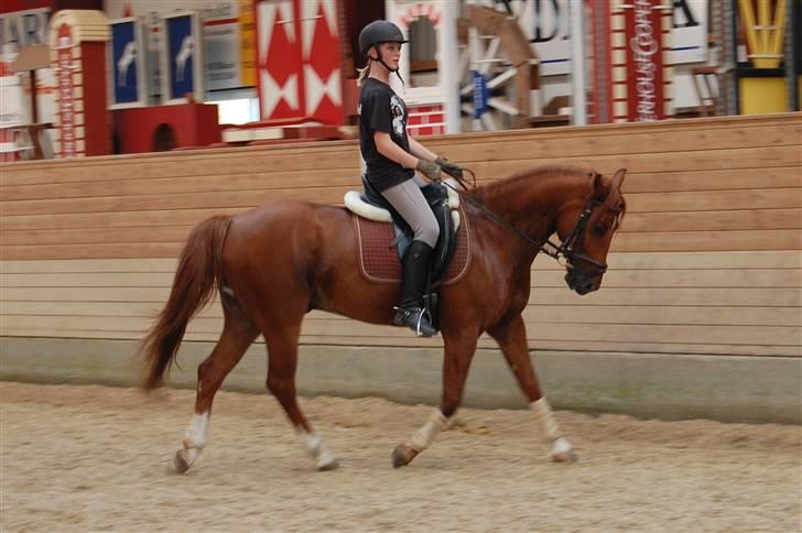 Anden særlig race Chili - your face.... tastes awesome! I think I just found myself a new duet partner! - Rachel Berry <3 billede 14