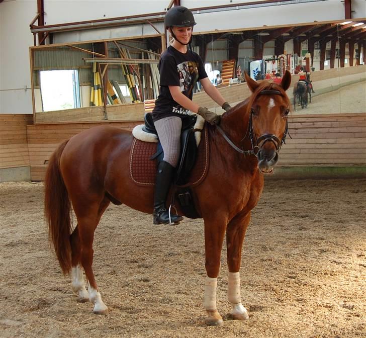 Anden særlig race Chili - and now, performing the hit song Tik and also Tok, by rapper Key-dollarsign-ha: New Directions! - Mr. Figgins <3 billede 15