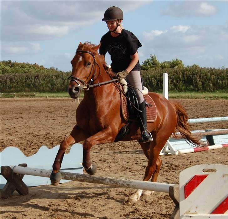 Anden særlig race Chili - I've got a power! I bloody knew it! Who's laughing now? I'm alive!! help! HELP! You buried me alive you dicks! help... I'm immortal! That's just great.. Thank you! Thanks a lot! Un-fucking-believable! - Nathan Young <3 billede 16