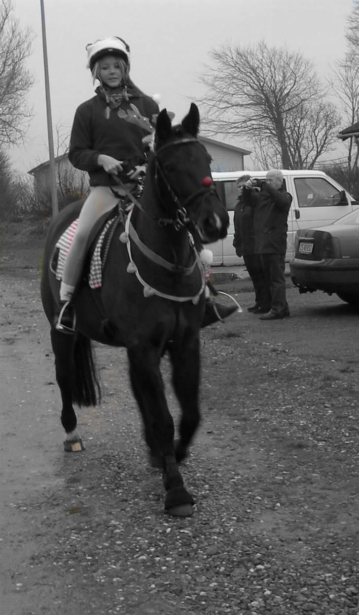 Oldenborg *tequila sunrice* - jule optog, det var min lille rudolf :) foto: far billede 9