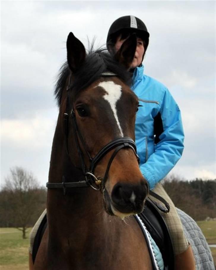 Holstener Horn's Lincoln " R.I.P.<3 - min mor og lincoln. billede 9