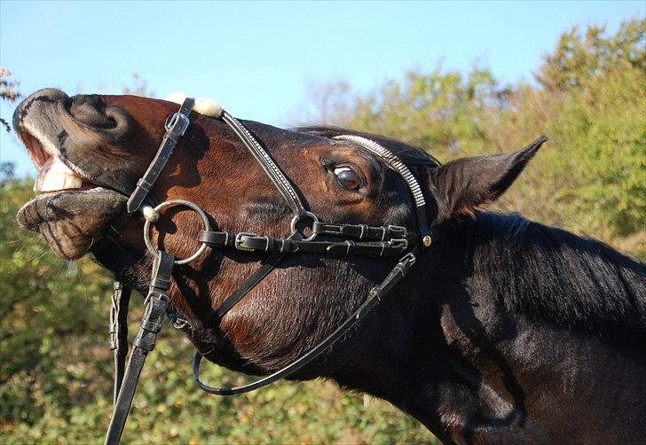 Anden særlig race Yasya <3 - 2011 billede 5