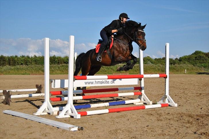 Anden særlig race Yasya <3 - 2010 billede 4