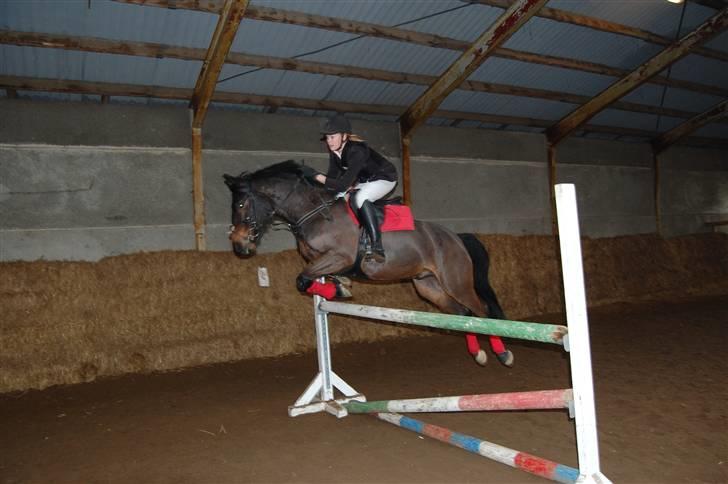 Anden særlig race Yasya <3 - 2010 billede 6