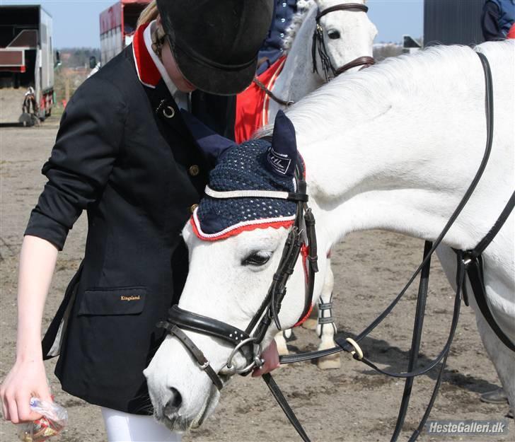 Anden særlig race Ariel - ÅH moar jeg VIL have dit slik nu!! billede 8