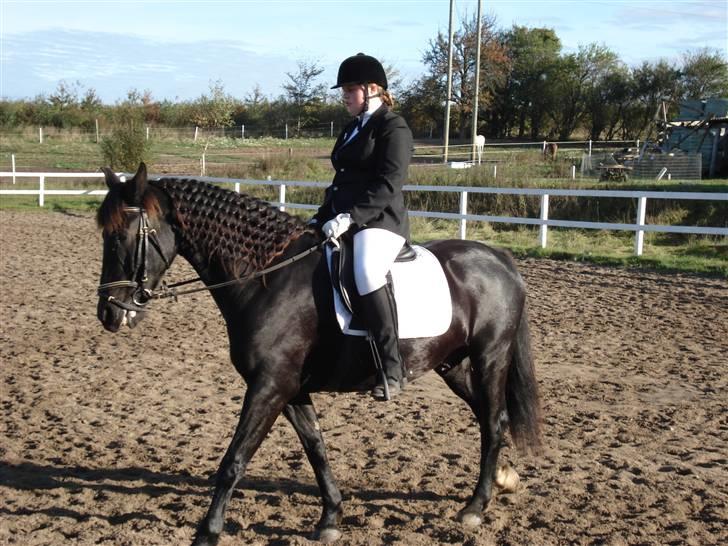 Pinto Noll - Venter på præmieoverrækkelsen i RRAA billede 8