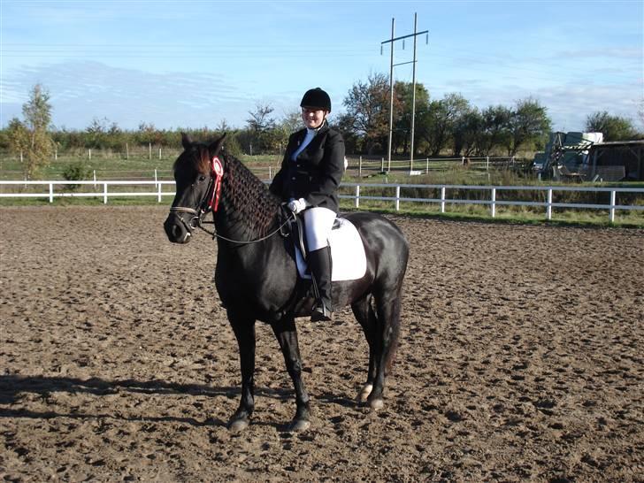 Pinto Noll - Sådan! LC1 med 60,49 % billede 9