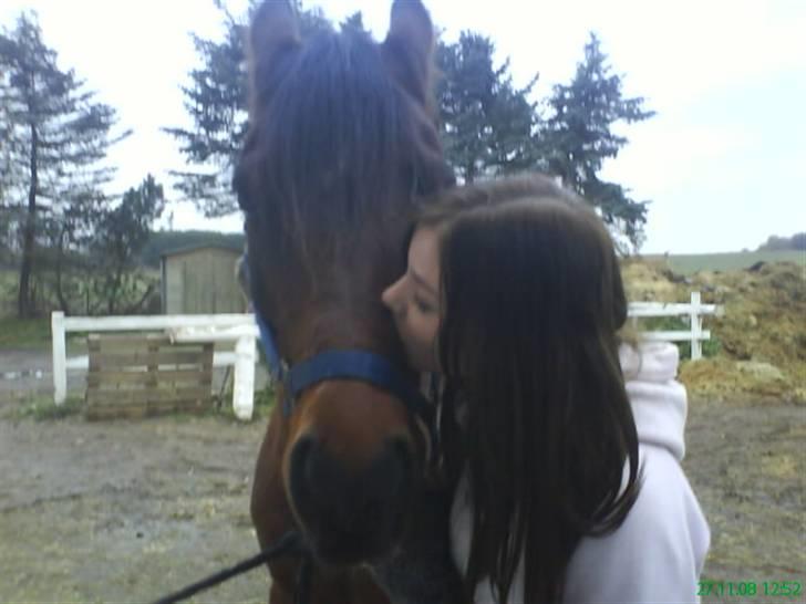 Anden særlig race st. oliver af vsr billede 4