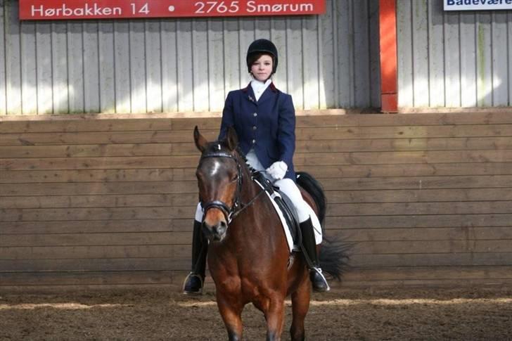 Anden særlig race st. oliver af vsr billede 6