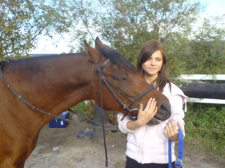 Anden særlig race st. oliver af vsr billede 7