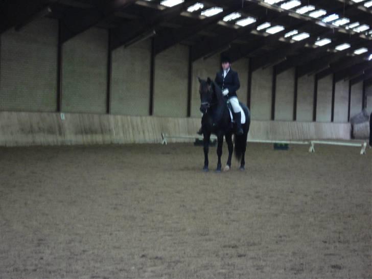 Pinto Noll - Stævne RRAA billede 14