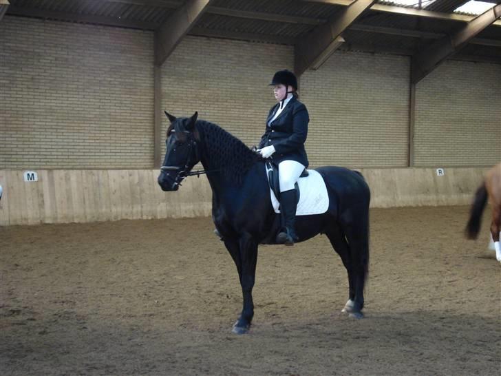 Pinto Noll - Klar til præmieoverrækkelse RRAA billede 15