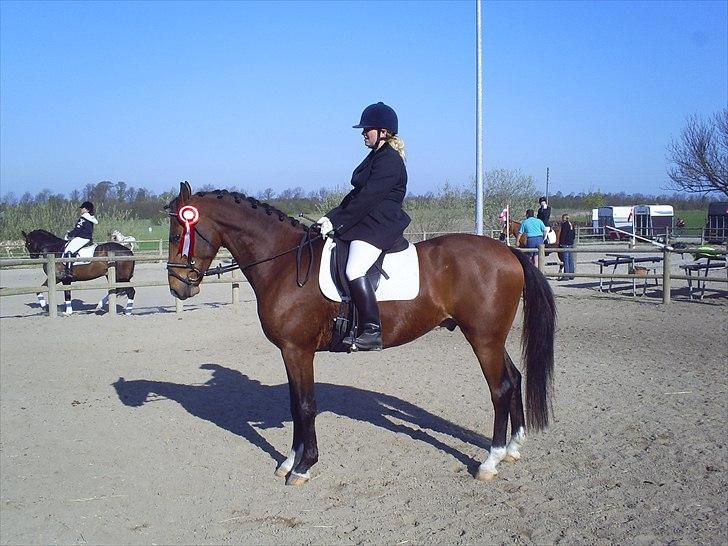 Anden særlig race Kamstrups Barcardi - vores 1. stævne debut, 72 % i LD1 og en fornem 1. plads!!! påsken 2011 billede 13