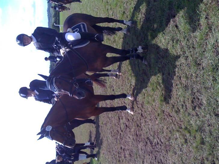 Tysk Sportspony Novell 6*PENSIONERET* - På vej til præmieoverrakelse i tyskland xD Blev nr 2 :D billede 18