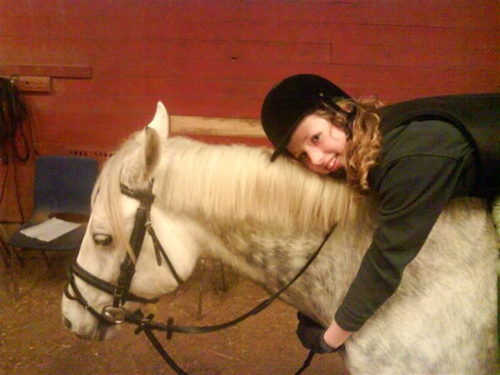 Connemara Golden Balou billede 16