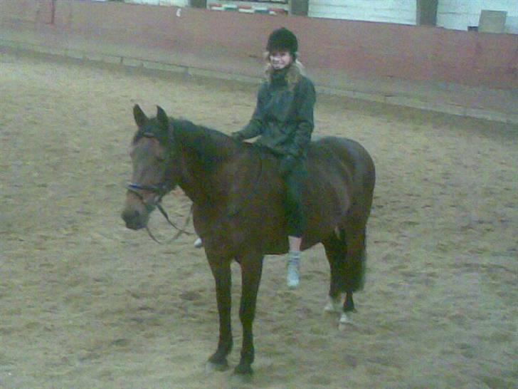 Anden særlig race Tøsen billede 17