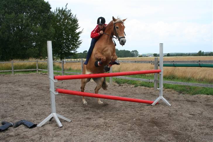 Anden særlig race KEEBE billede 11