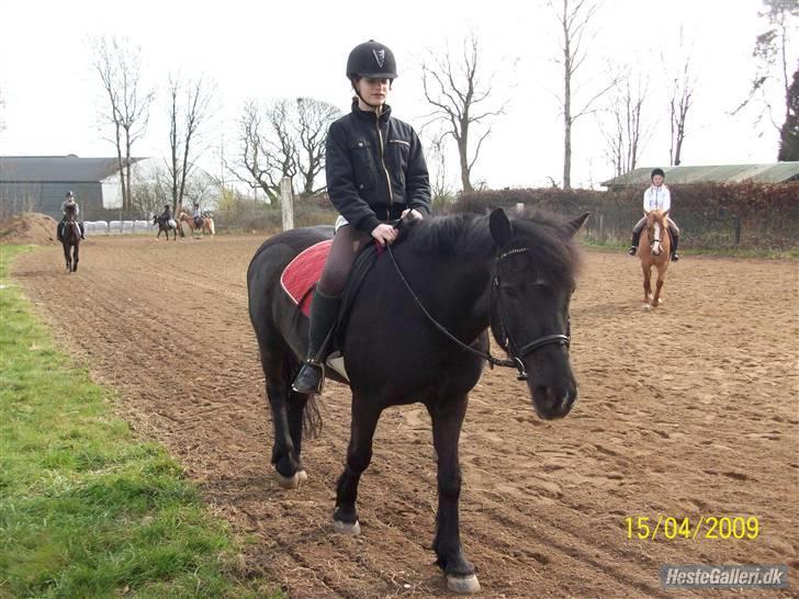 Anden særlig race Beauty billede 10