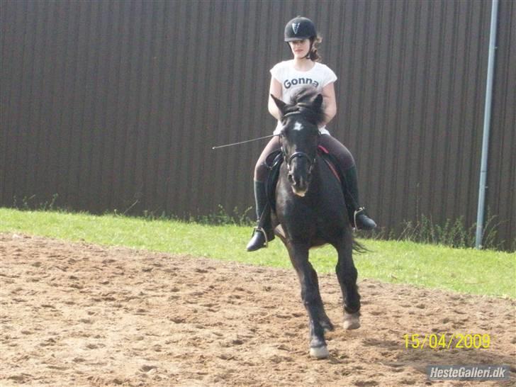 Anden særlig race Beauty - Galop ;D billede 14