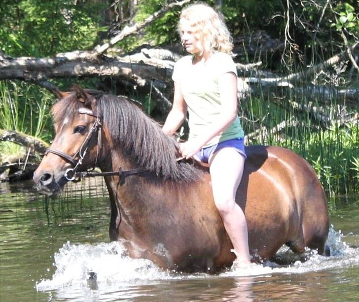 Anden særlig race Kiwi - østerlund ridelejr 2010 ! <3 ude og bade på den bedste :) billede 19