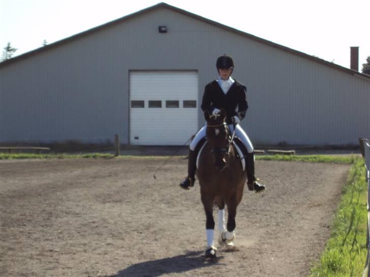 Hollandsk Sportspony Jorny  R.I.P  :'( billede 14