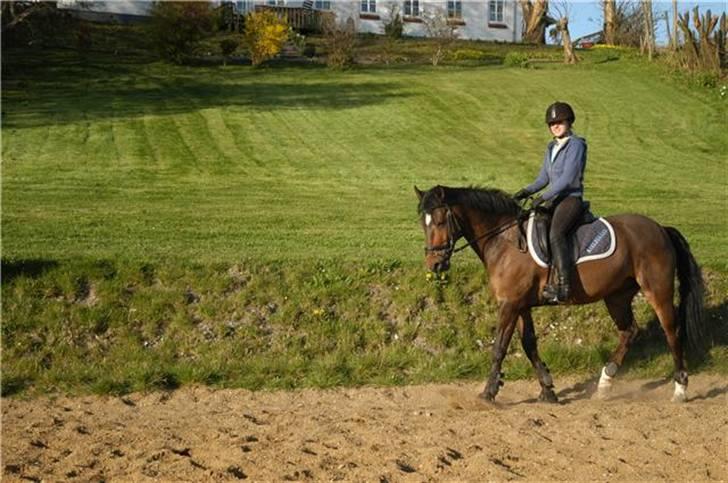 Hollandsk Sportspony Jorny  R.I.P  :'( billede 15