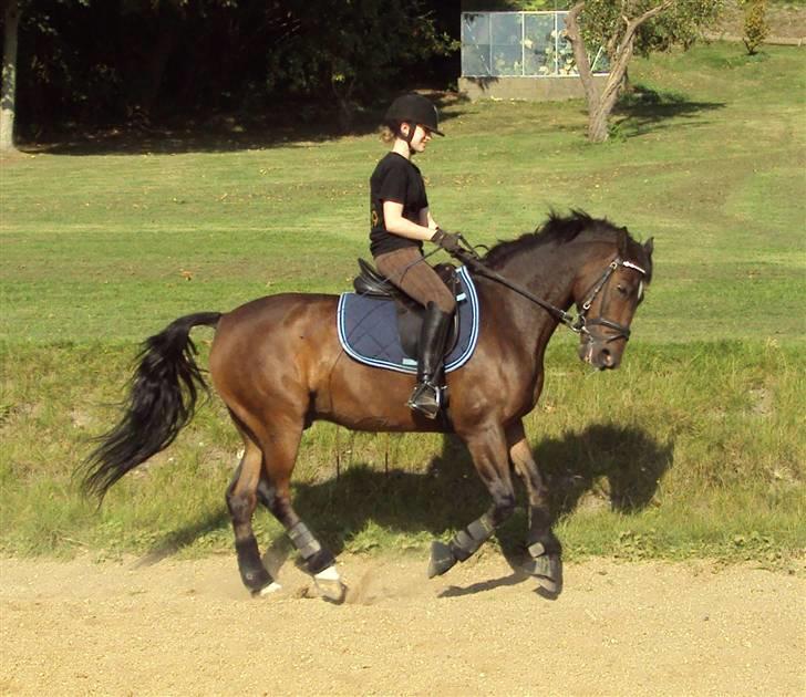 Hollandsk Sportspony Jorny  R.I.P  :'( billede 17