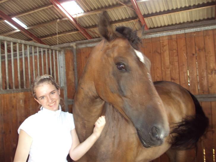 Hollandsk Sportspony Jorny  R.I.P  :'( billede 18