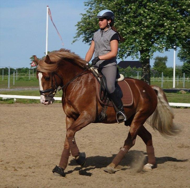 Anden særlig race Dream Come True <3 - Velkommen til Dream Come True´s Profil <3 billede 1