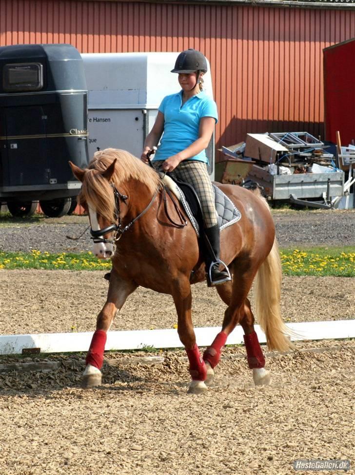 Anden særlig race Dream Come True <3 - <3 billede 5