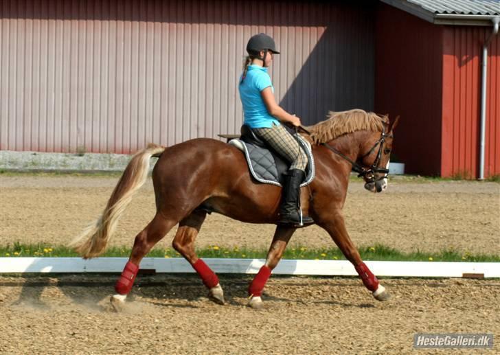 Anden særlig race Dream Come True <3 - Øgning ,;) billede 6
