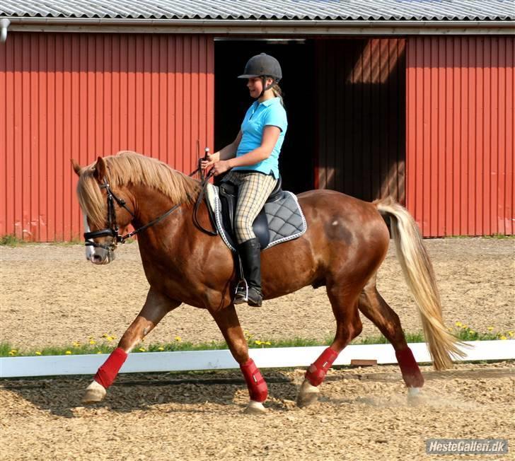 Anden særlig race Dream Come True <3 - Lååååååf you <3 billede 8