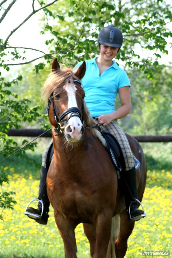 Anden særlig race Dream Come True <3 - Os to evigt <3 billede 9