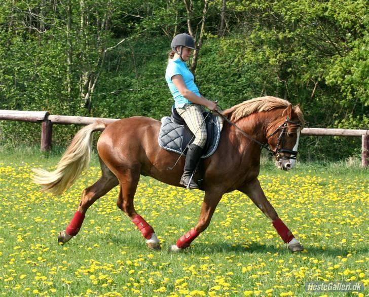 Anden særlig race Dream Come True <3 - Øøøøøøøgning <3 du er et sær talent <3 billede 11