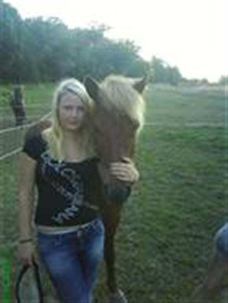 Islænder Atli Fra Kirstinelund - Klosterris ridelejr 2008 billede 3