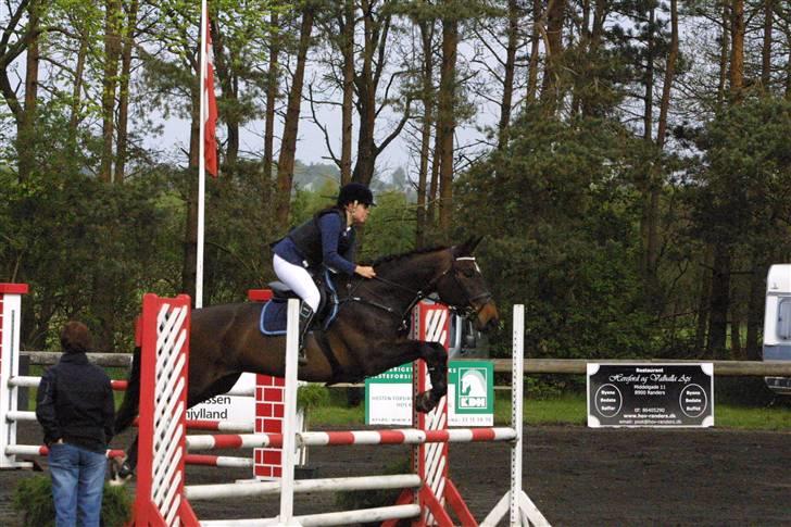 Westfaler Cincinnati - Sisse og jeg til vores første stævne på Kallehavegaard <33 billede 19