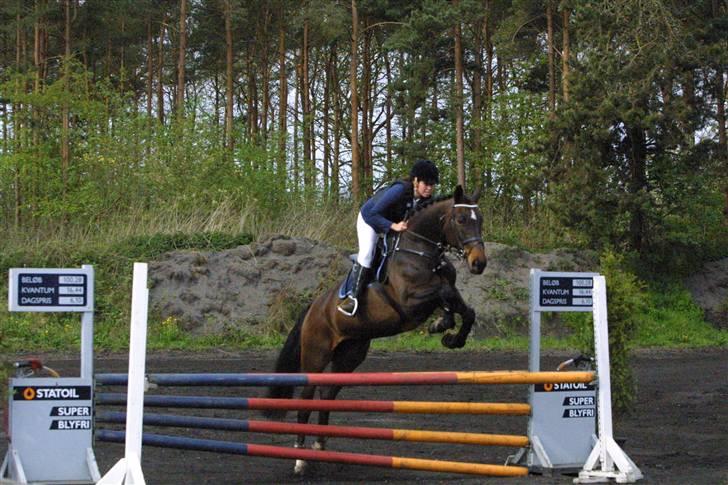 Westfaler Cincinnati - Sisse og jeg til vores første stævne på Kallehavegaard <33 billede 20