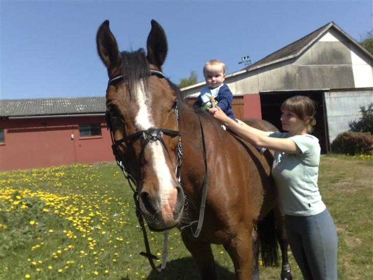 Anden særlig race Balder *R. I. P. * - Balder, med Tobias på ryggen og Anita som barne-holder :-) billede 4