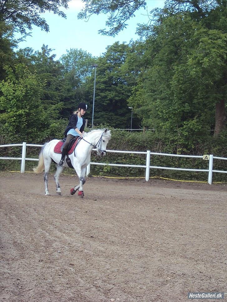 Anden særlig race Betty - Du er mit liv stjerne. !!! ;D billede 8