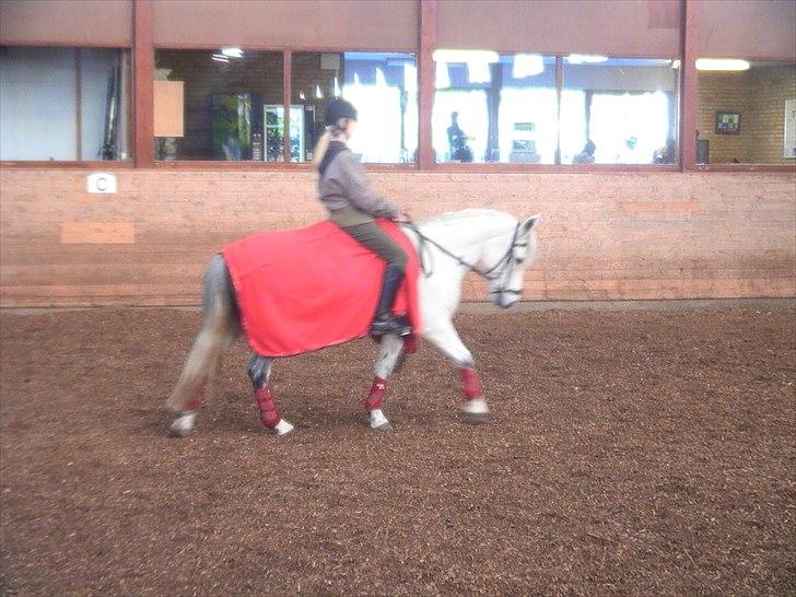 Anden særlig race Betty billede 9
