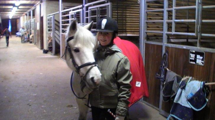 Anden særlig race Betty - Efter træning  (; du er elsket Betty (=<3!! billede 15