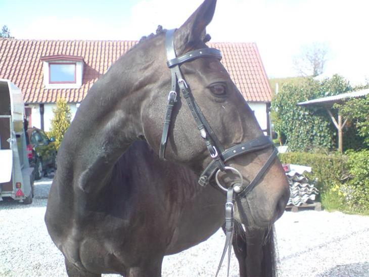 {{currentPhoto.altText}} billede {{currentPhoto.number}}