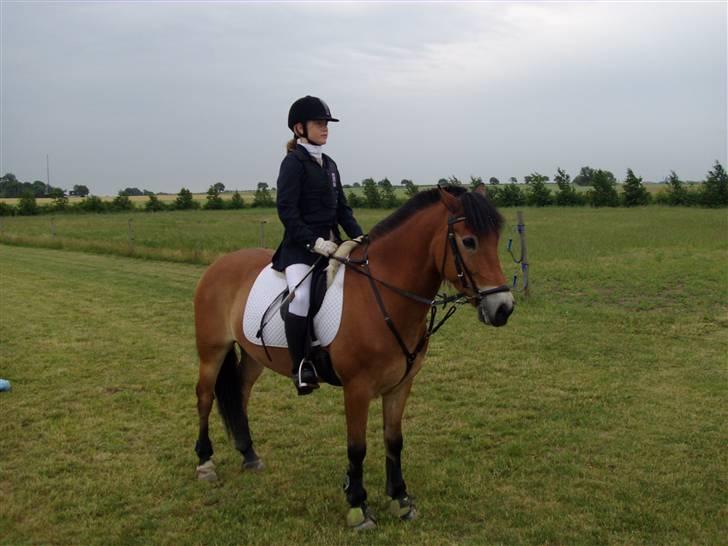 Anden særlig race Tue R.I.P - Mit aller første stævne. Det er ude på TEAM CABE:) billede 11