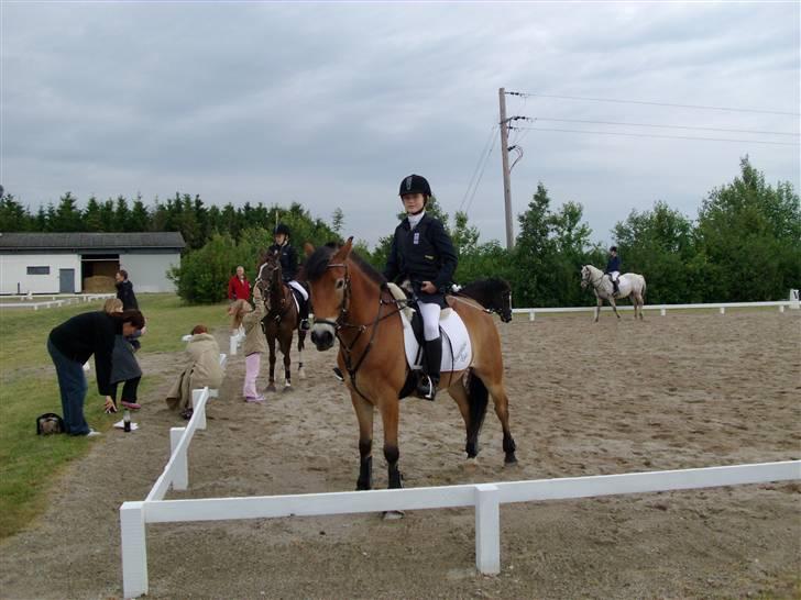 Anden særlig race Tue R.I.P - Team Cabe billede 12