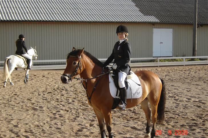 Anden særlig race Tue R.I.P - ude til stævne på lyng vandt 1. + 2. pladsen billede 15