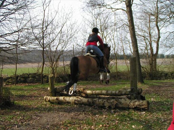 Anden særlig race Tue R.I.P billede 16